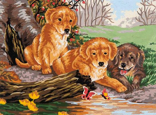 puppy fun  Canvas By Grafitec