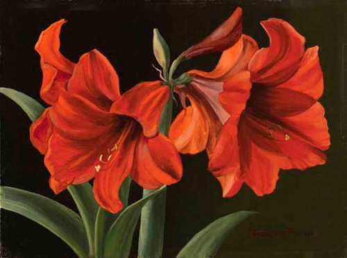 Red Trumpet Flowers CANVAS By Grafitec