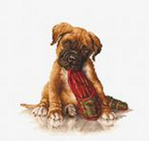 Boxer Cross Stitch Kit by Luca S