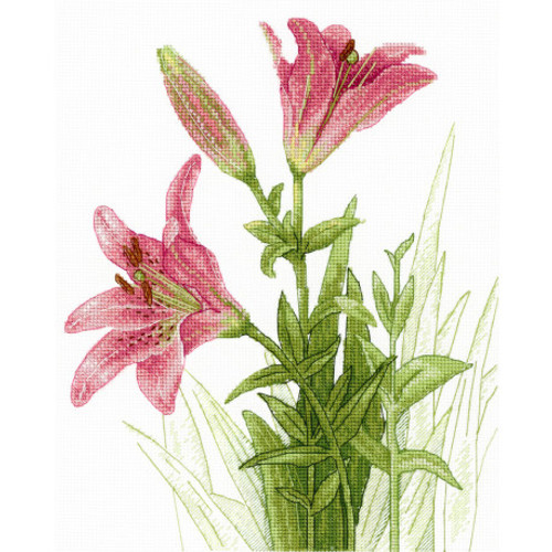 Soft Lilies Cross Stitch Kit by MP Studia