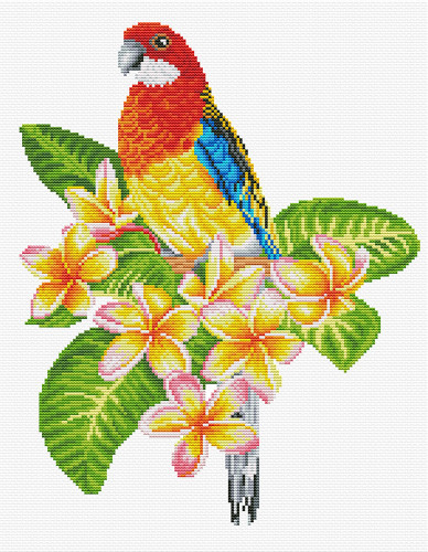 Frangipani Rosella Printed Cross Stitch Kit By Needleart World