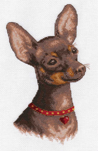 Toy Terrier Counted Cross Stitch Kit By Panna