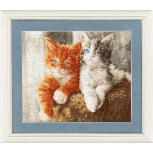 Fluffy Kittens Cross Stitch Kits By Golden Fleece