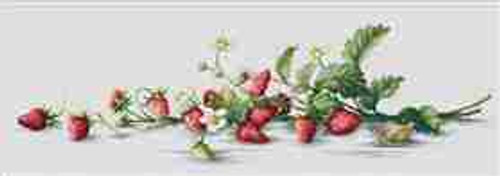 Etude with Strawberries Counted Cross Stitch Kit by Luca-S