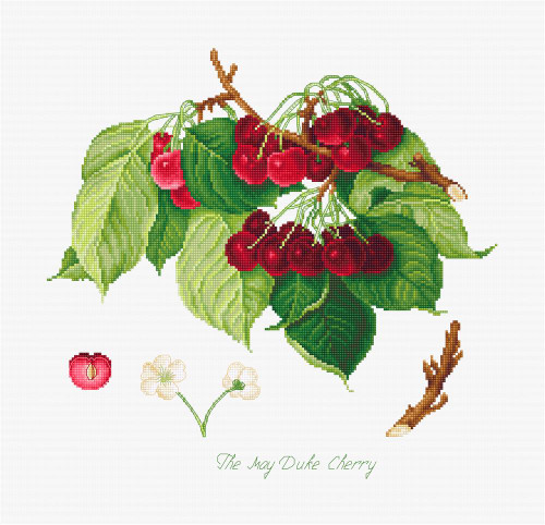 The May Duke Cherry - Evenweave Counted Cross Stitch Kit by Luca-S