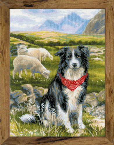 Border Collie Counted Cross Stitch Kit By Riolis