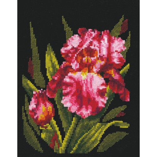 Velvet Iris Cross Stitch Kit By Andriana