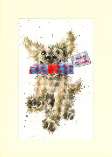 Special Delivery Cross Stitch Kit by Hannah Dale