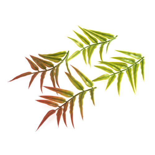 Small Fern Leaves: 6.5cm: 4 Pieces
