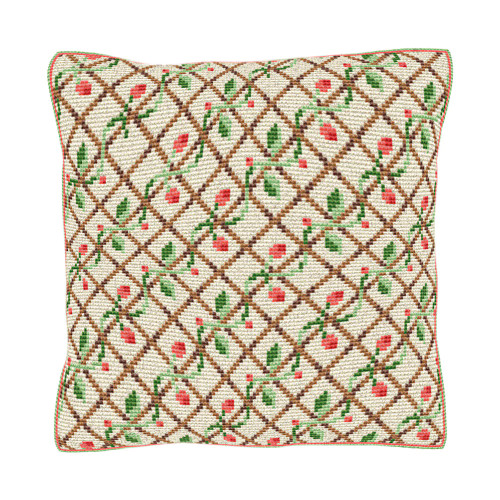 Castelon Cushion Tapestry Kit By Brigantia