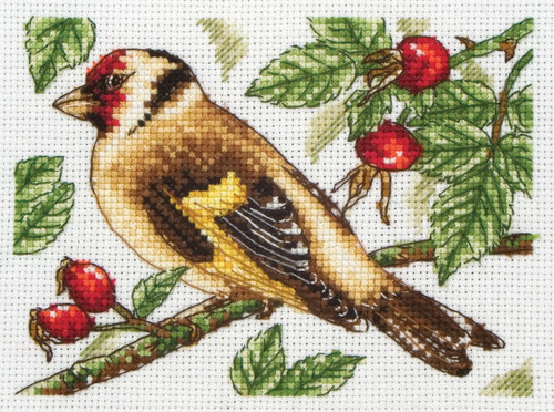 Goldfinch Cross Stitch Kit by Anchor