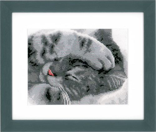 Cute Kitten Counted Cross Stitch Kit by Vervaco