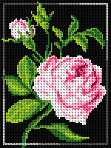 Rose Embroidery kit By Orchidea