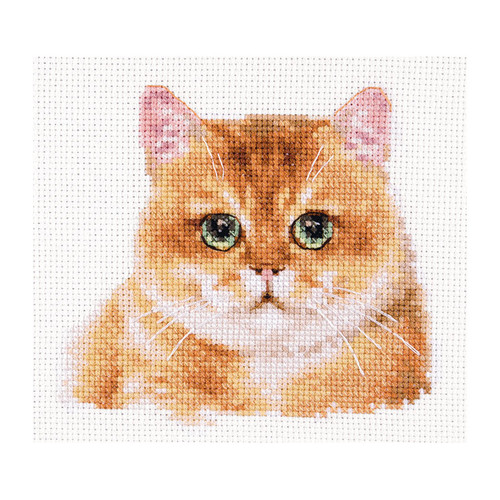 Teddy Cat Counted Cross Stitch Kit By Alisa