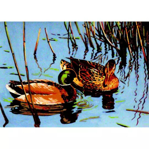 Mallard Pair Tapestry Canvas By Gobelin