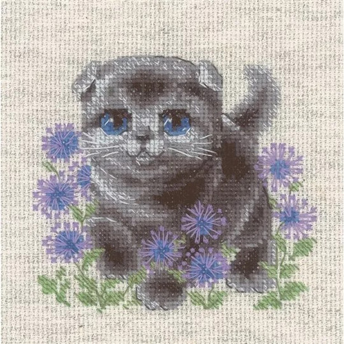 Lop-eared Kitten Counted Cross Stitch Kit By Riolis