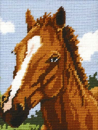Horse Tapestry Starter Kit