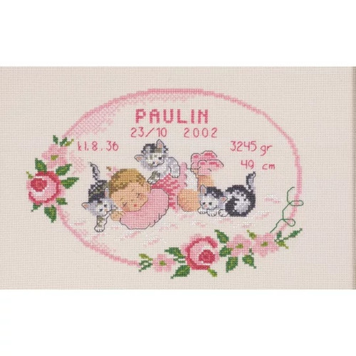 Kittens Birth Sampler Girl Counted Cross Stitch Kit By Permin