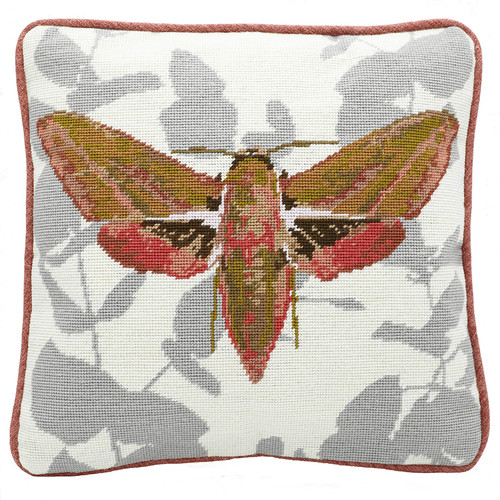 Elephant Hawk Moth 14 inch Cushion By Cleopatra