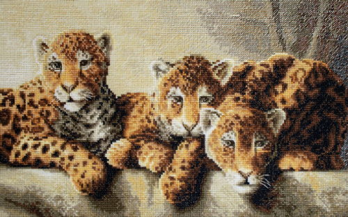 Leopards Cross Stitch Kit by Letistitch