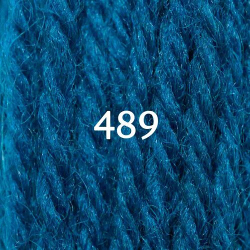 Appletons Tapestry Wool Hank Shade 489