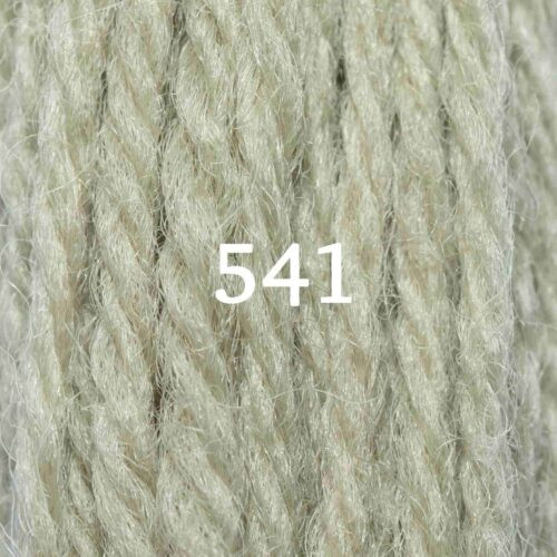 Appletons Crewel Wool Hank Shade 541