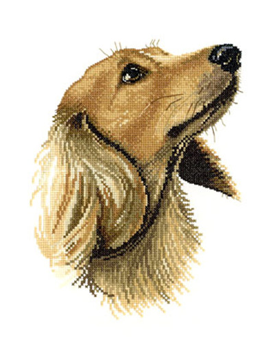 Jasper Cross Stitch Kit