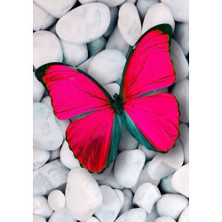 Pink Butterfly Diamond Painting By Wizardi