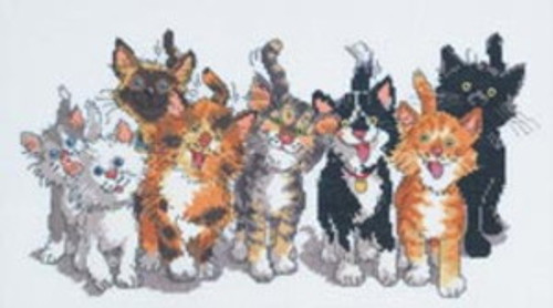 Suzys Zoo - Tails Of Duckport Cross Stitch Kit