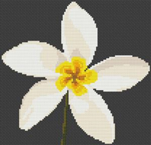 Plumeria Flower Cross Stitch Chart