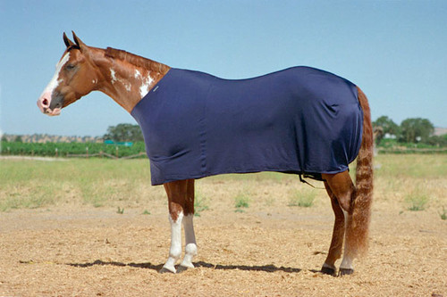 10 oz. Heavy weight Lycra stretch horse sheet, Lycra horse sheet, warm blanket liner sheet