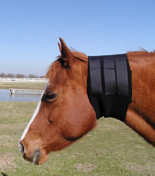 3 mm Thick Neoprene Throat latch sweat for horses