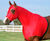 Robinhoods, best stretch Lycra horse hoods, close out horse hoods, sleazy horse hoods