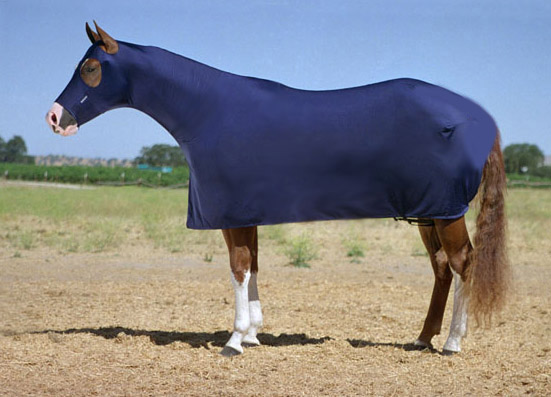 Robinhoods Full Body Lycra Horse Cover