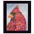 The Messenger 1 Black Framed Print Wall Art