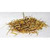 Witches Grass ( Panicum Capillare cut 2oz)