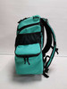 Berg Bag V4 Backpack Mint