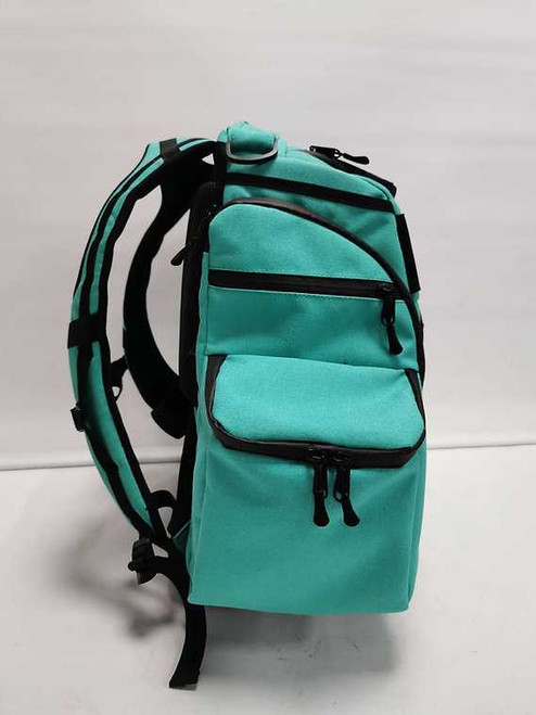 Berg Bag V4 Backpack Mint