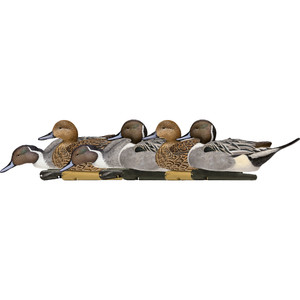 AvianX Top Flight Duck Decoys Pintail 6 pk. AvianX Top Flight Duck Decoys Pintail 6 pk.
