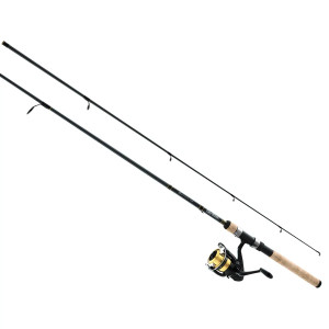 Daiwa Combo D-Shock Spinning Combo 1BB 6' 2pc ML