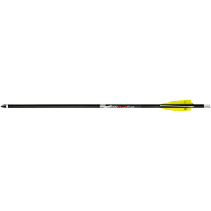 TenPoint Pro Elite 400 Arrows 20 in. White Alpha Nocks 6 pk. TenPoint Pro Elite 400 Arrows 20 in. White Alpha Nocks 6 pk.