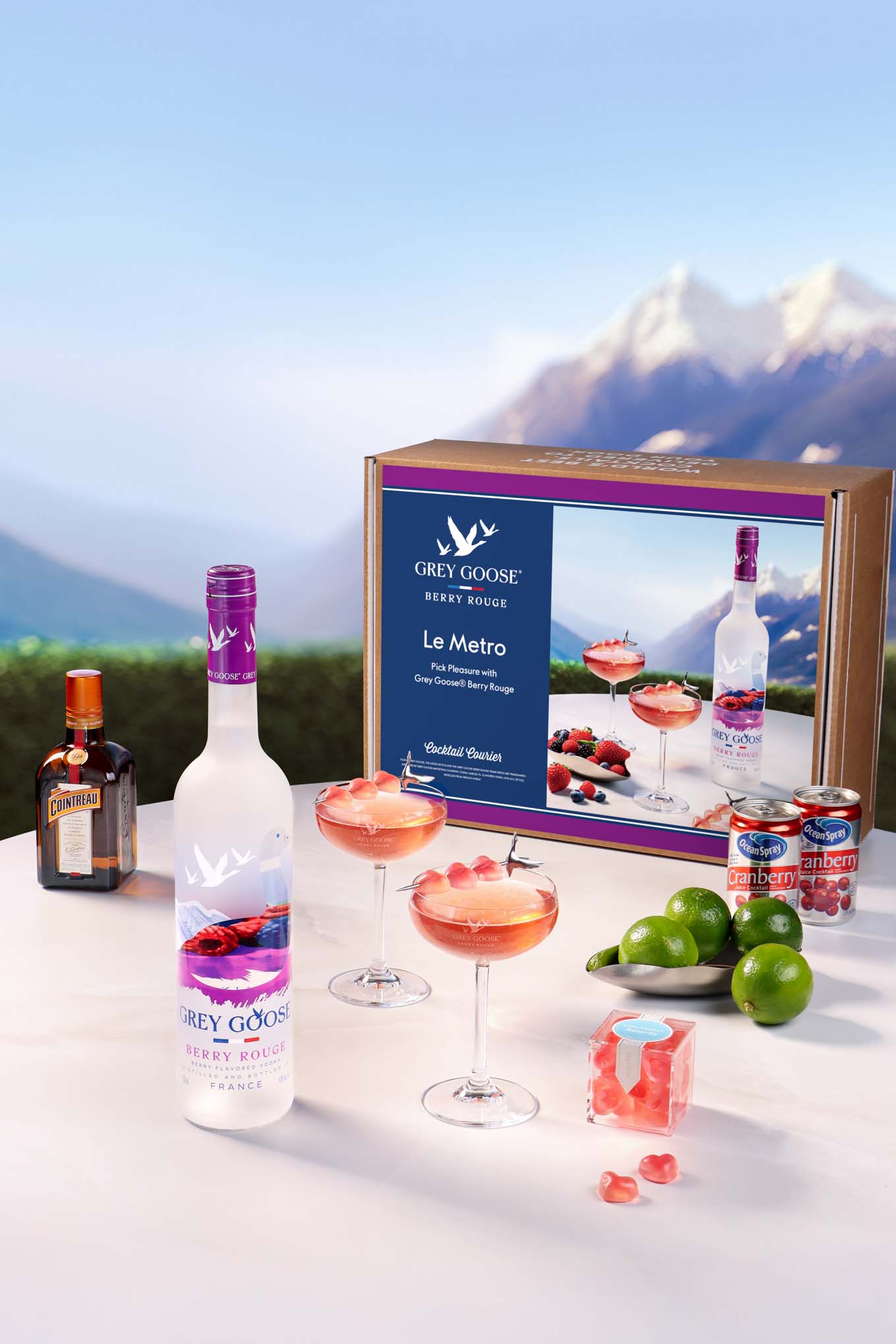 Grey Goose Berry Rouge Le Metro Kit Content