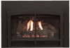 Empire Hearth Small Black Horizon Decorative Doors (non-operable) DFD20HBL