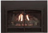Empire Hearth Medium Black Horizon Decorative Doors (non-operable) DFD26HBL