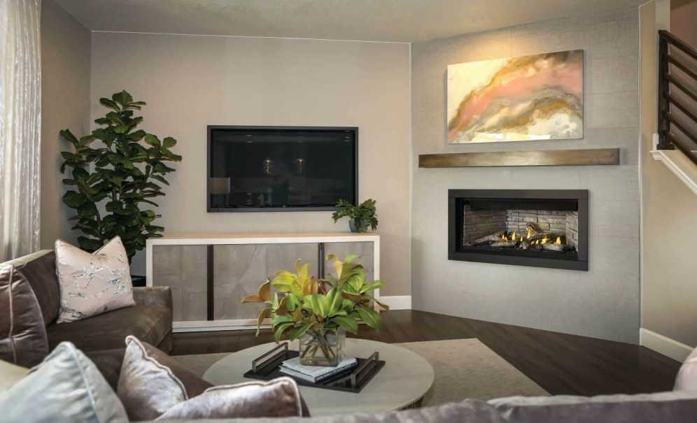 Napoleon 46" Ascent Linear Gas Fireplace BL46NTEA