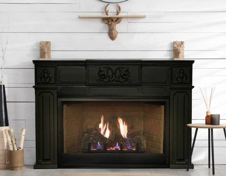 Empire Hearth Innsbrook Small Direct Vent Insert DVC20IN