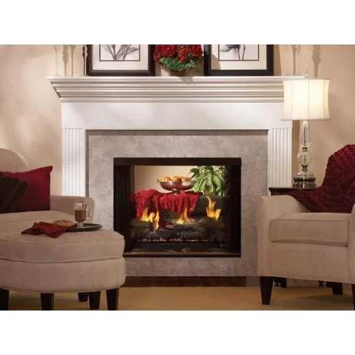 Empire 36" Breckenridge Premium Vent-Free See-Thru Firebox (Firebox Only) VFP36SB2