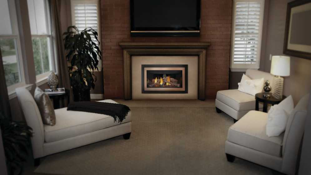 Napoleon Inspiration ZC Gas Fireplace Insert GDIZC-NSB