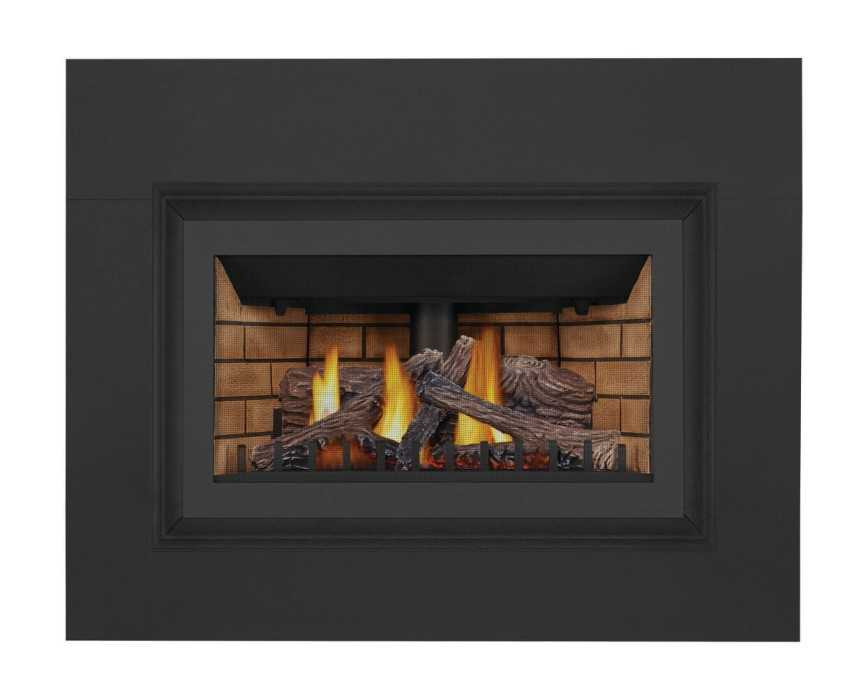 Napoleon Inspiration ZC Gas Fireplace Insert GDIZC-NSB