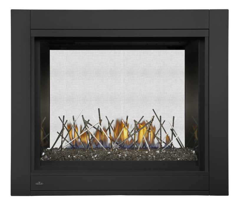 Napoleon Ascent Multi-View See-Thru Direct Vent Gas Fireplace BHD4ST